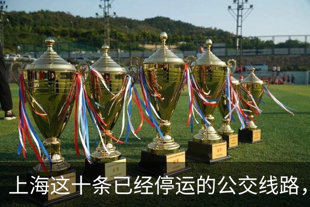 上海这十条已经停运的公交线路，哪一条让你最为怀念？